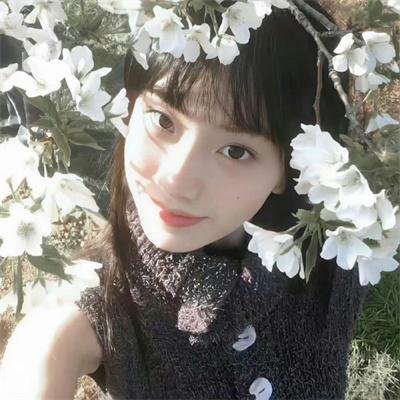 青春皇家恋曲